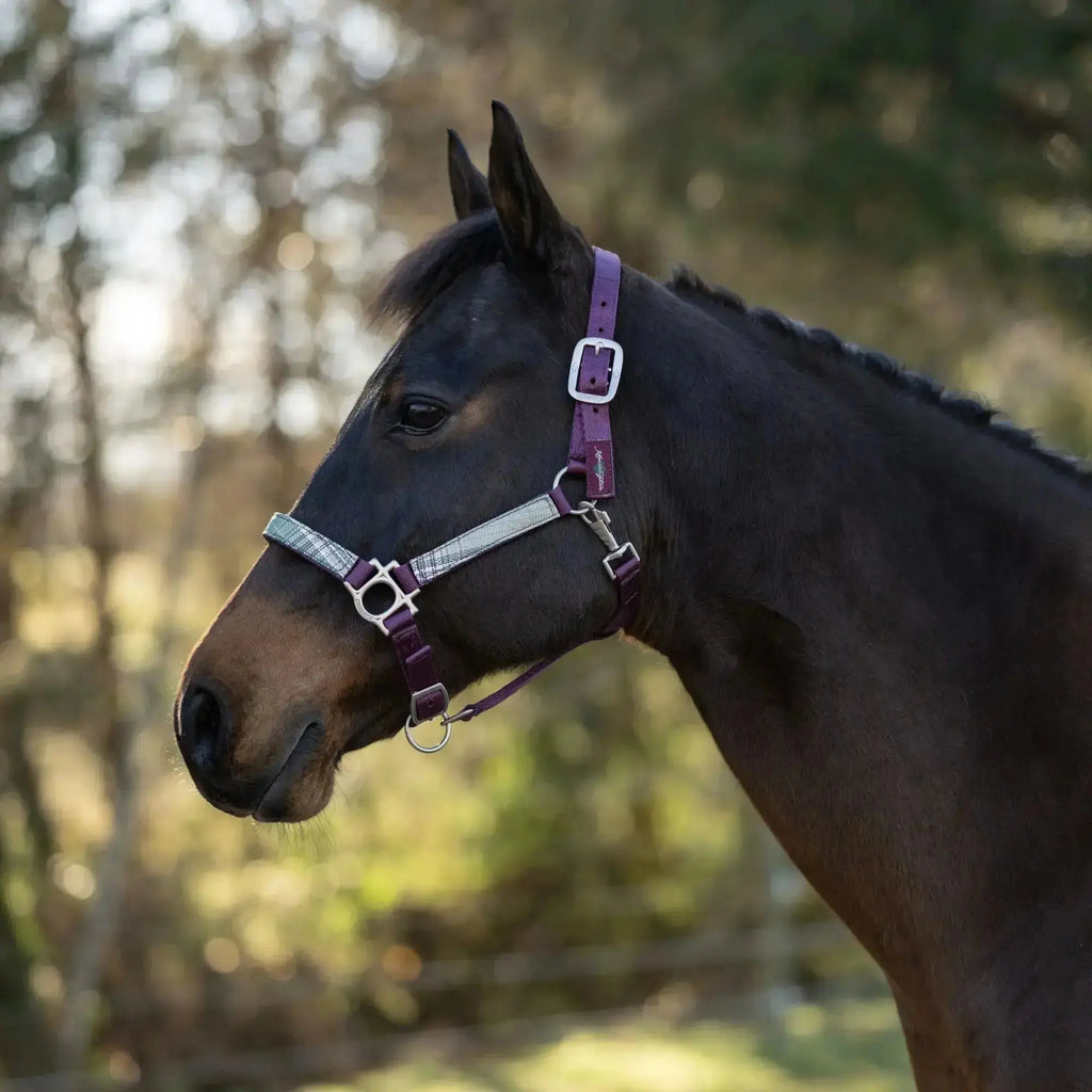 Reflective Nylon Halter with Textliene