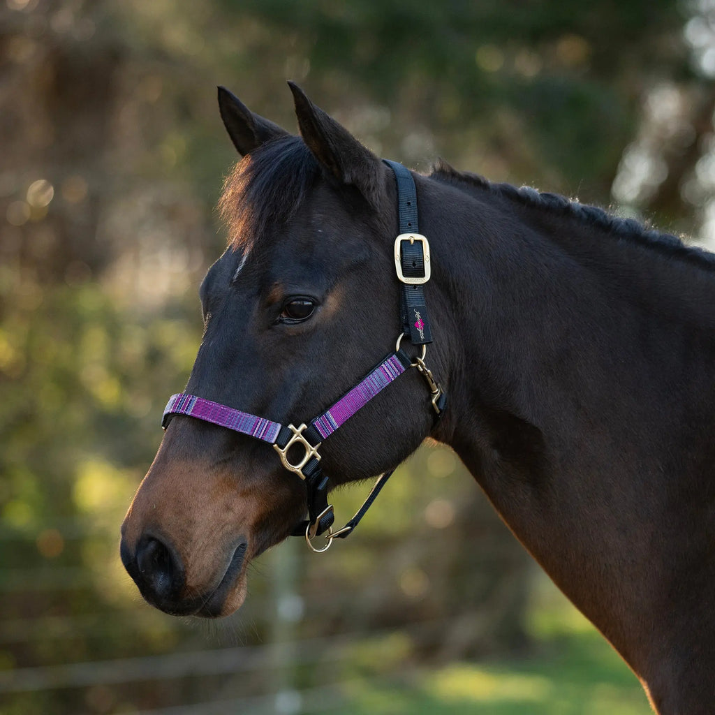 Reflective Nylon Halter with Textliene