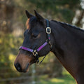 Reflective Nylon Halter with Textliene