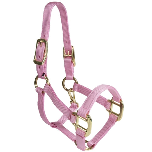 Horse & Livestock Prime H325NLPK Premium Halfter mit Kinnriemen und Schnappverschluss – Pink